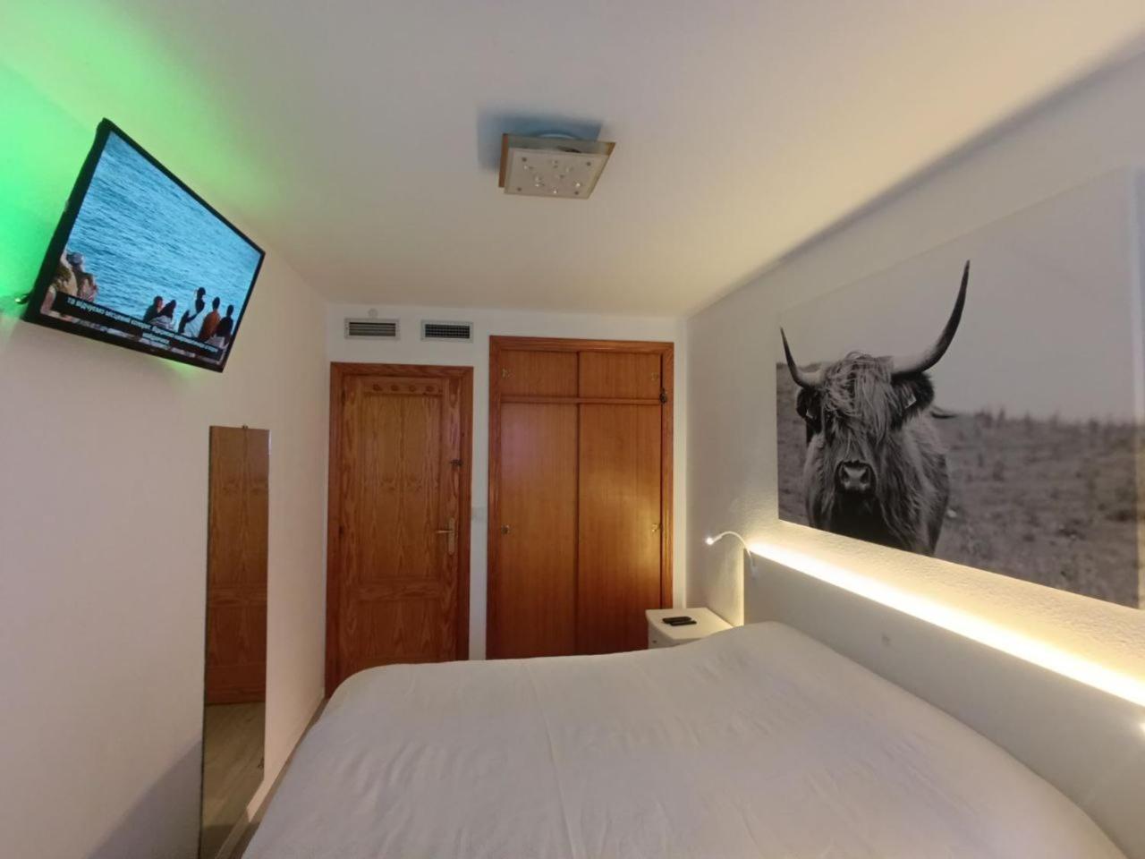 Apartment To Rent In Costa Blanca Torrevieja Exterior photo